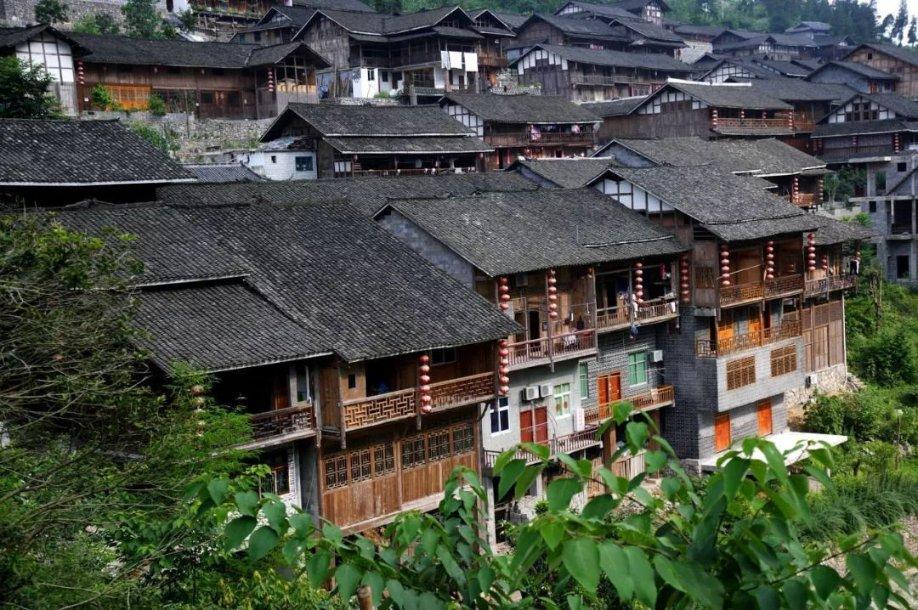 救援小肥兔